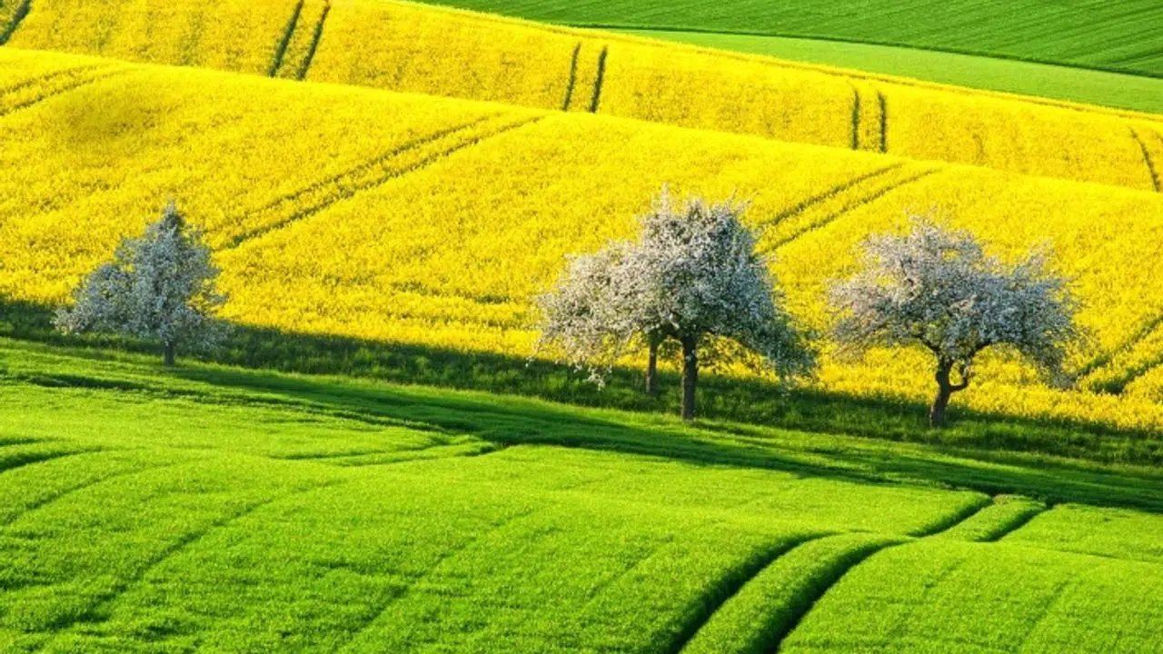 Kahramanmaraş'ta ucuza arsa satışı: Mahkeme fiyatını açıkladı