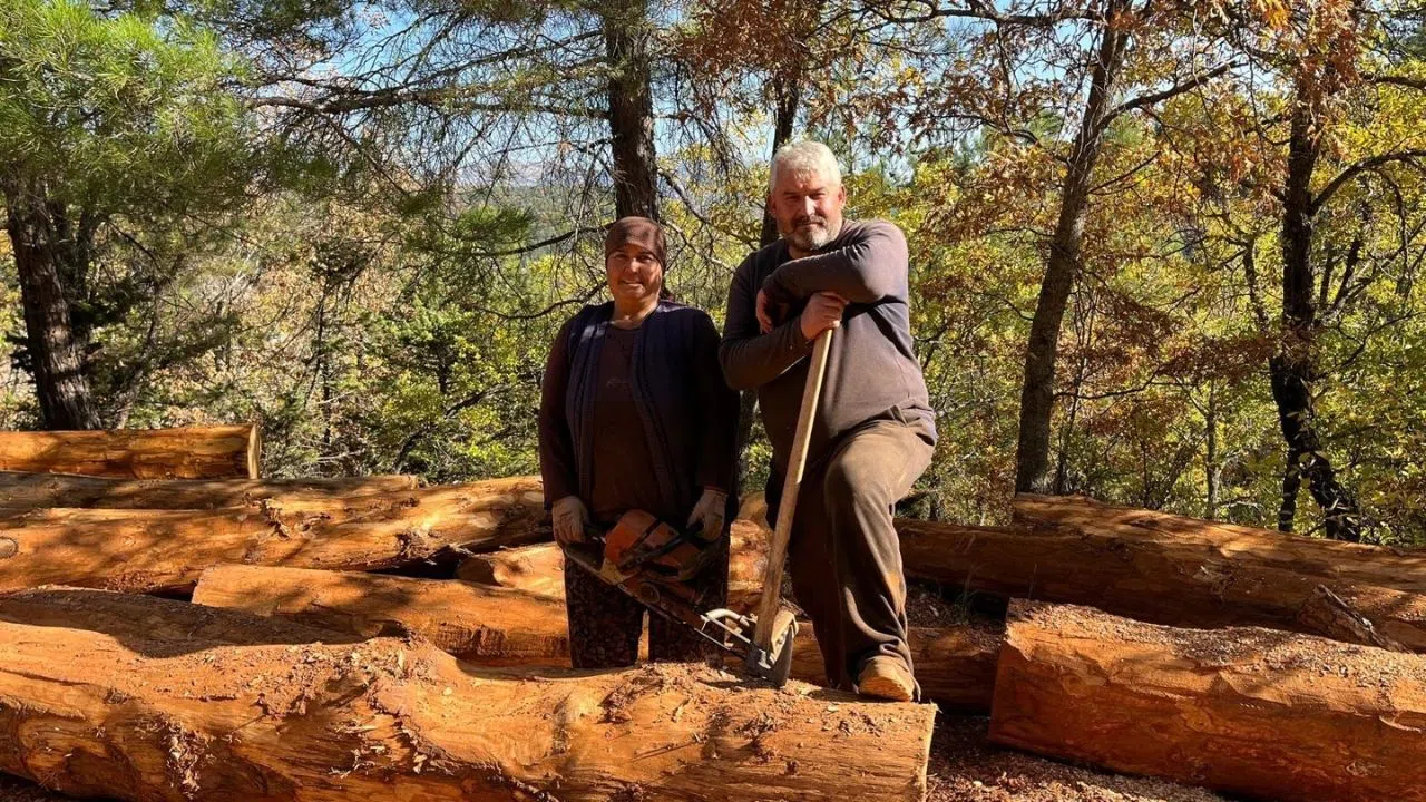 Karı-koca 35 yıldır ormanlarda damgalanan ağaçları kesiyorlar