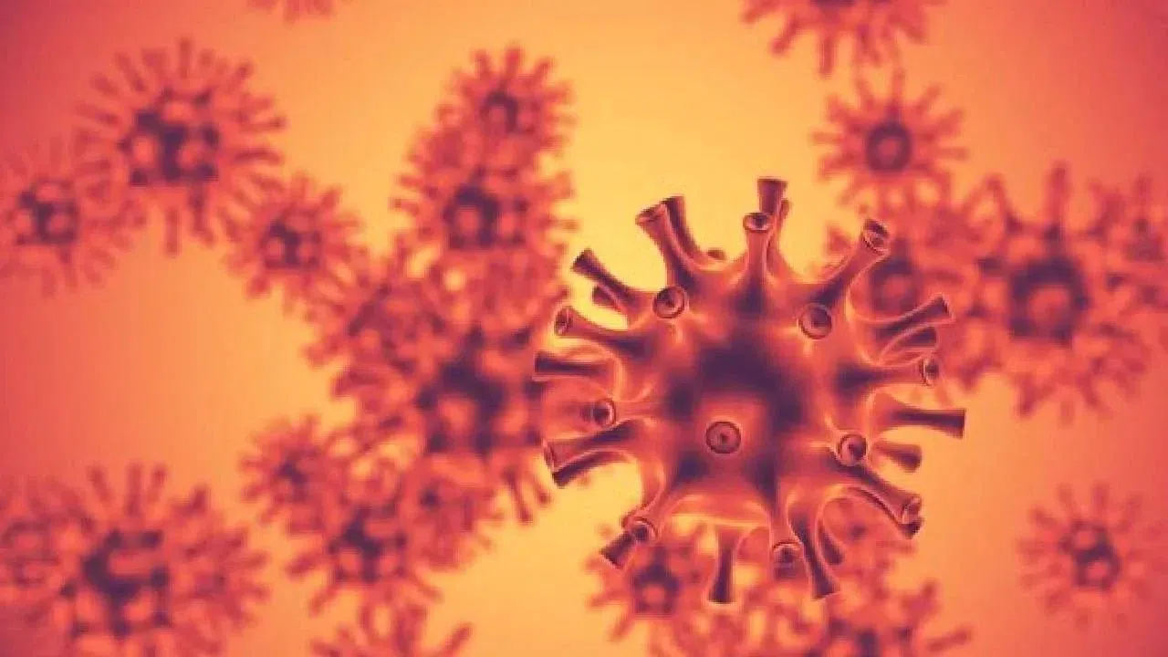 Yeni Salgının Adı H3N2: İşte Bilinmesi Gerekenler