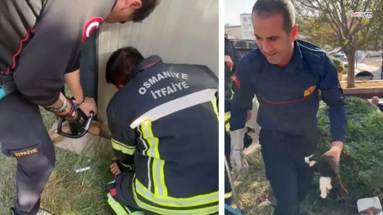 Konteyner ile duvar arasına sıkışan yavru kedi kurtarıldı