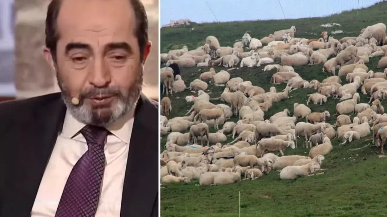 Koyun Sürüsü Şehit Yüzbaşının Mezar Yerini Haber Verdi