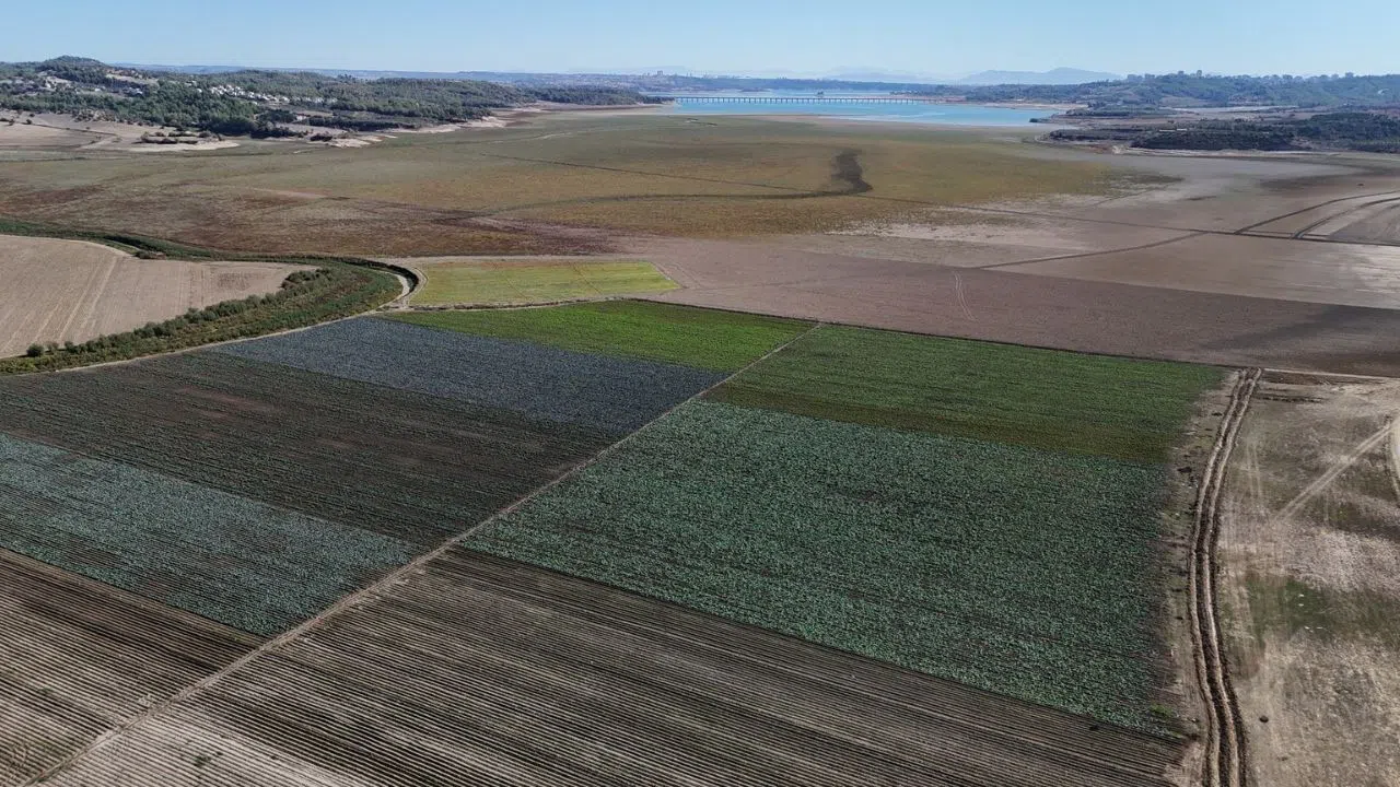 Kuraklığın vurduğu Seyhan Baraj Gölü'nün çevresi tarım arazisi oldu