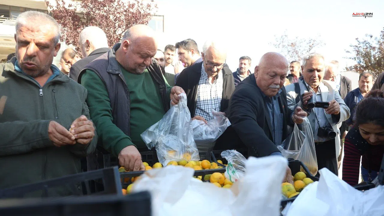 Mandalinanın fiyatı 2 TL'ye düşünce üreticiler tonlarca ürünü vatandaşlara ücretsiz dağıttılar