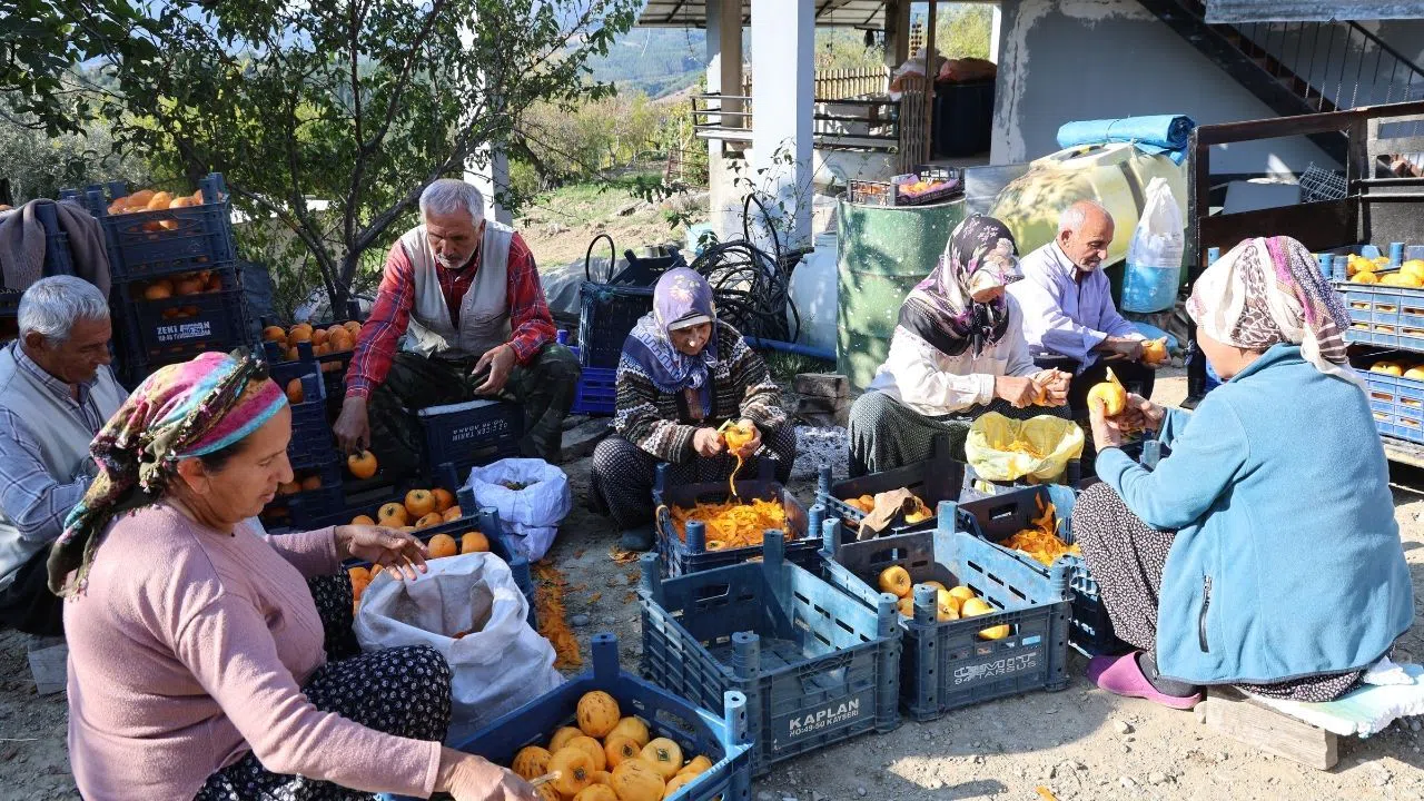 Minnetli köyü kuru hurma üretiminde Türkiye birincisi