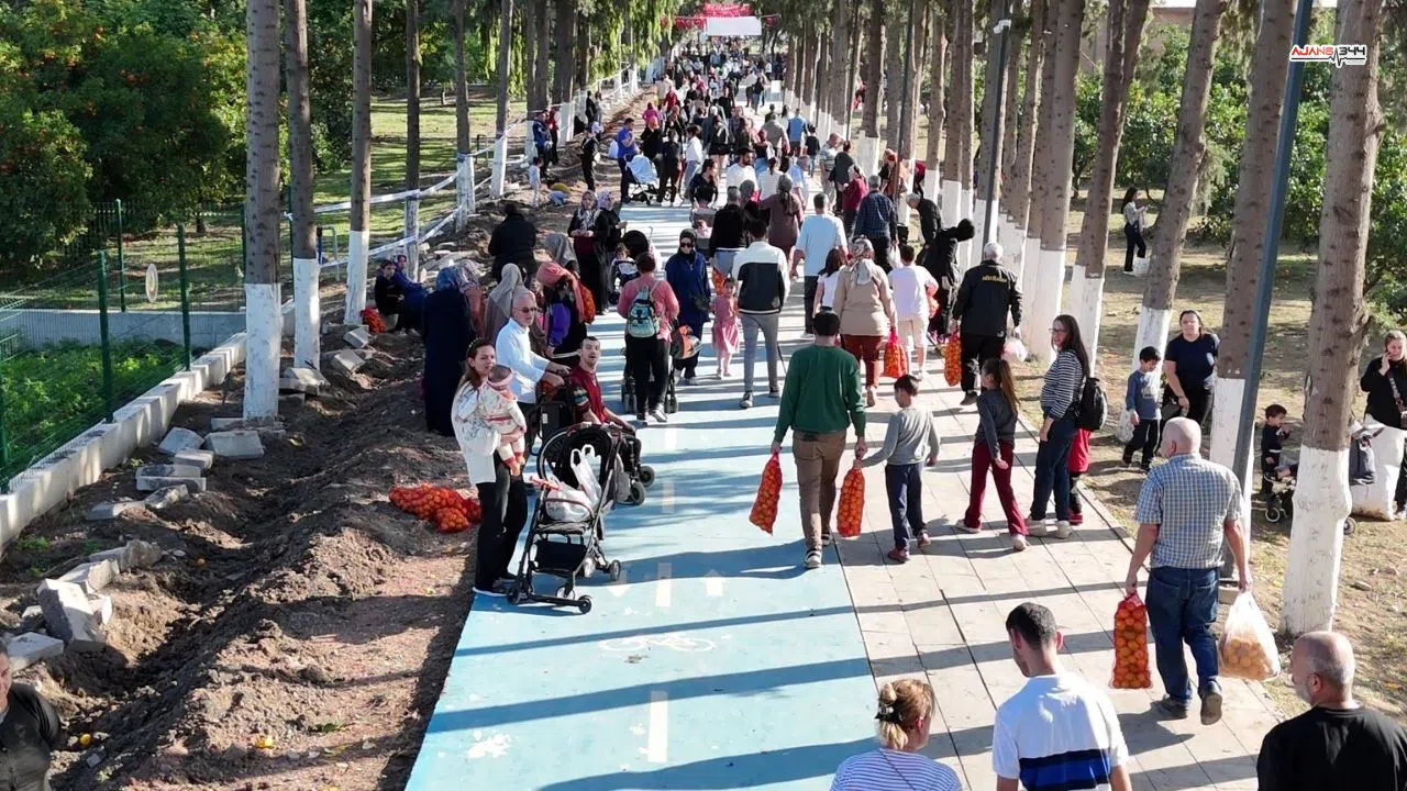 Filesiyle Gelen Bahçede Meyvesini Kendisi Topladı