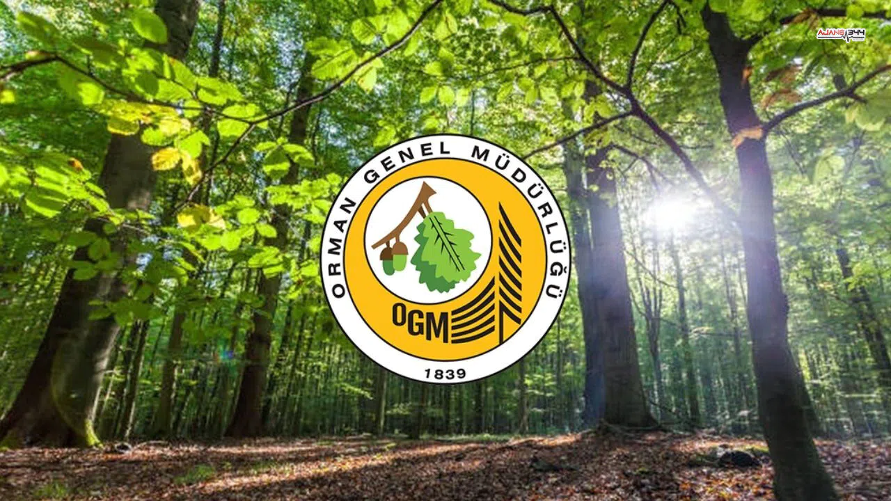 Orman Genel Müdürlüğüne 496 Personel Alınacak