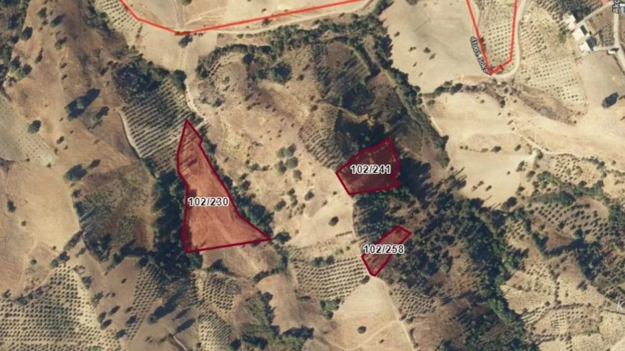 Kahramanmaraş'ta 8.084 m² Tarla İcradan Satışa Çıkarıldı