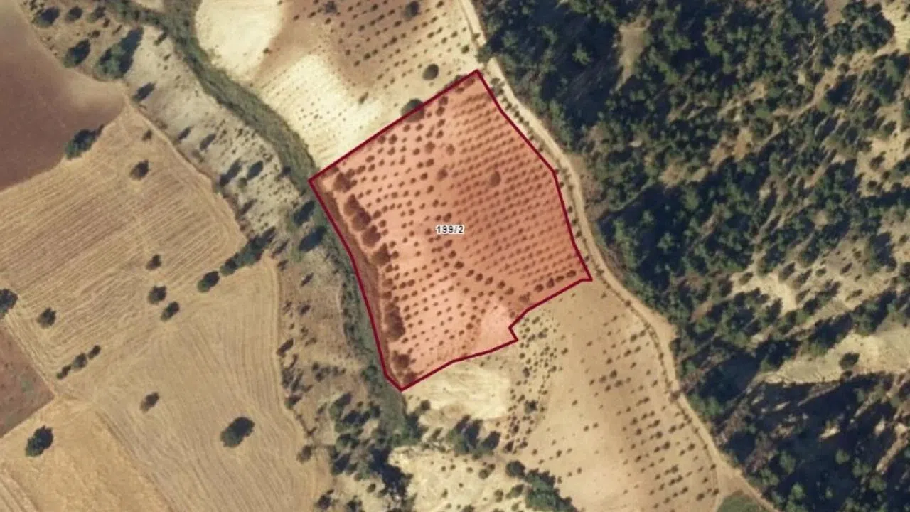 Kahramanmaraş'ta 10.821 m² Tarla İcradan Satışta