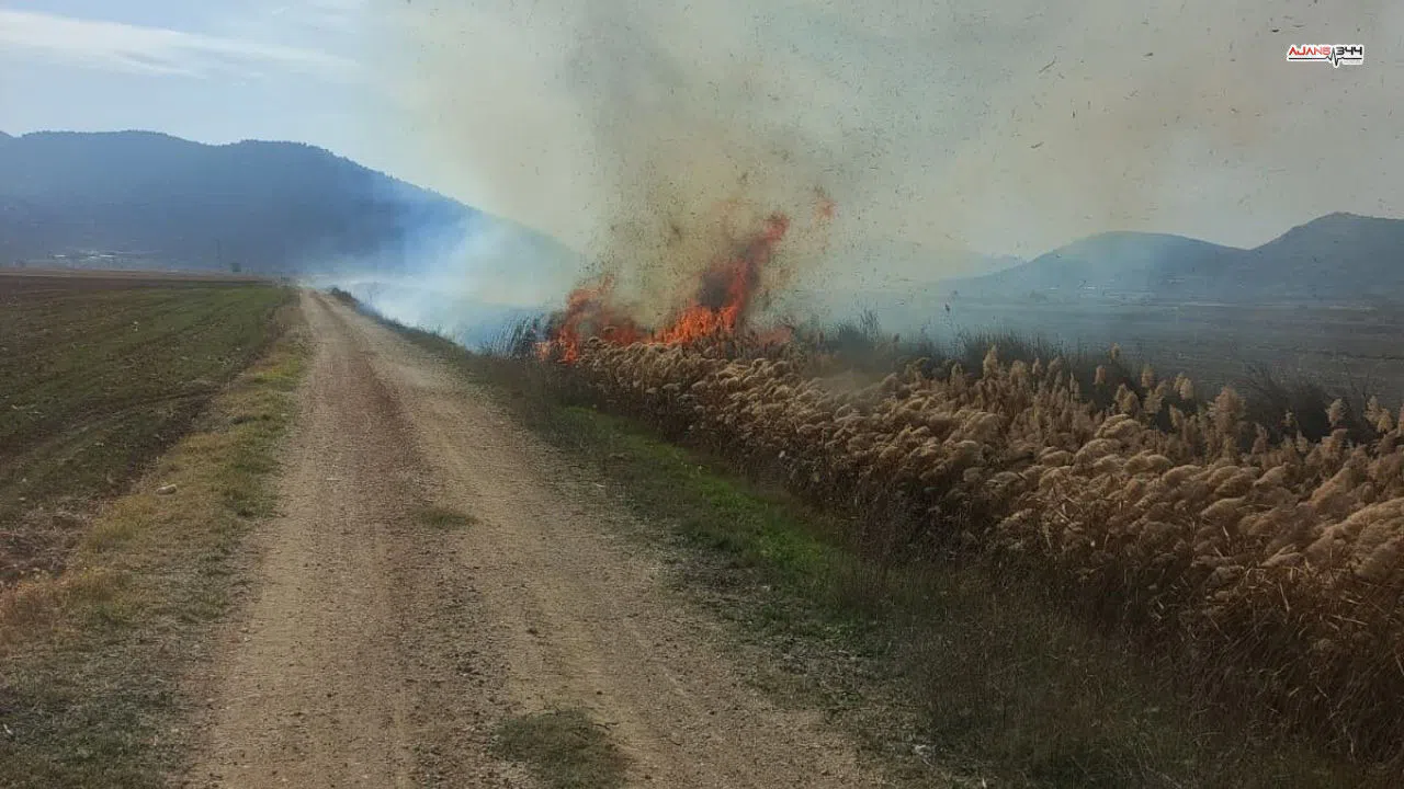 Sazlık alanda çıkan yangın itfaiye ekiplerince söndürüldü
