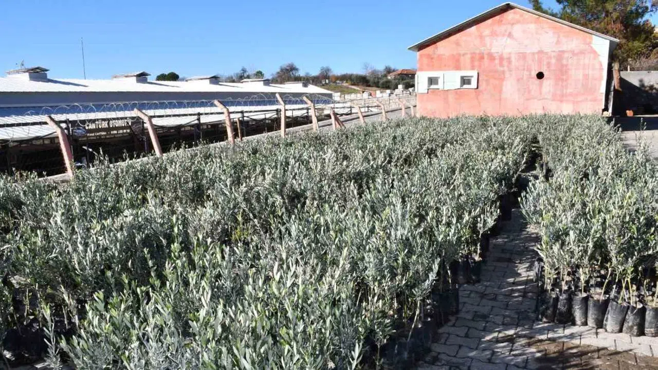 Kahramanmaraş'ta Hibeli Fidan Desteği İçin Ek Başvuru Dönemi Başladı