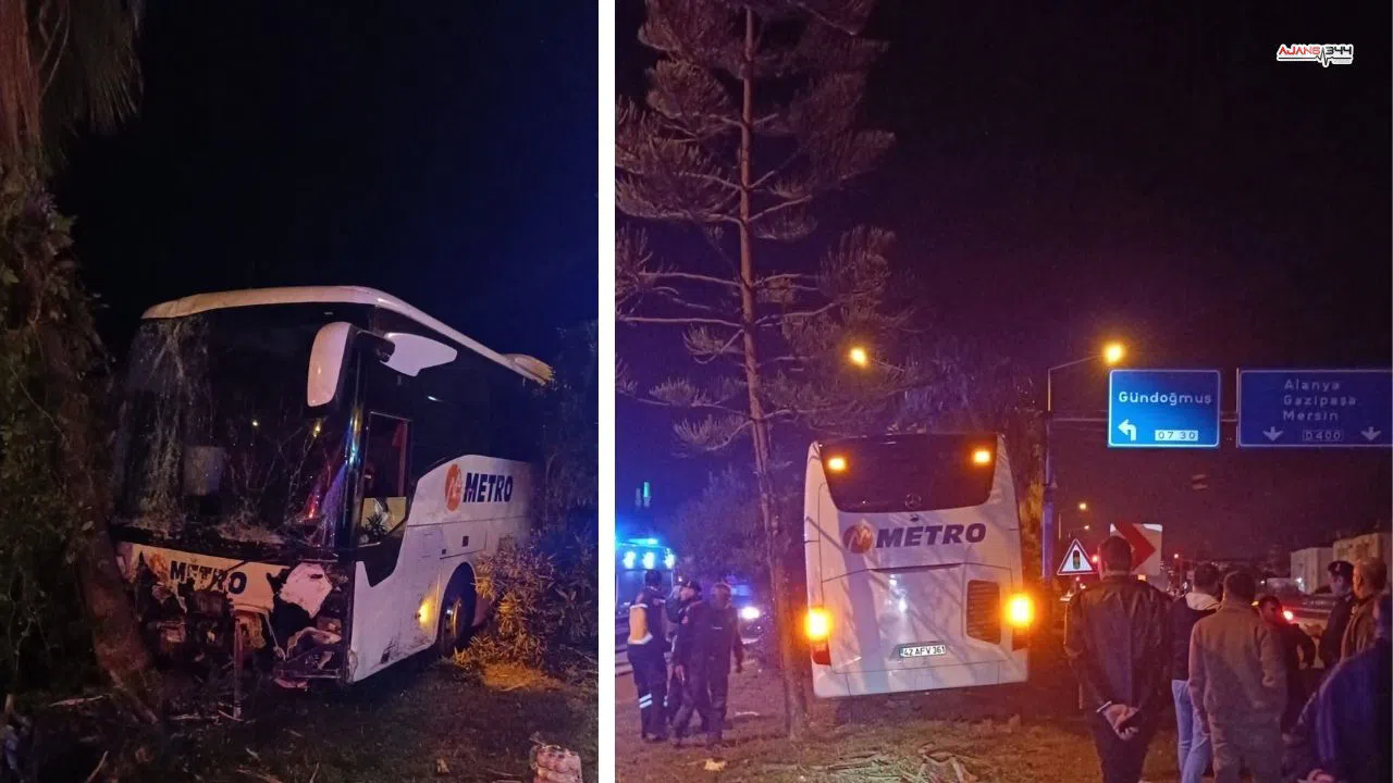Yolcu otobüsü ağaç ve aydınlatma direğine çarptı 3 yaralı