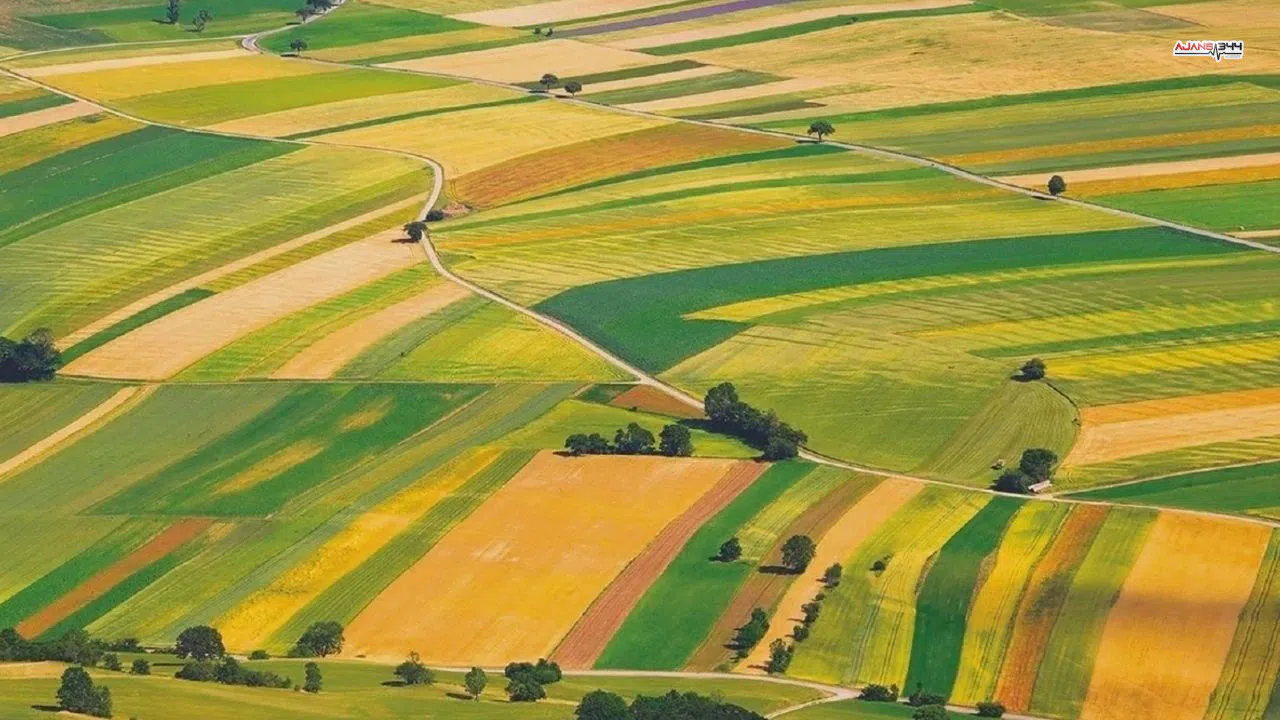 Kahramanmaraş'ta 100 dönümlük arazi icradan satışa çıktı