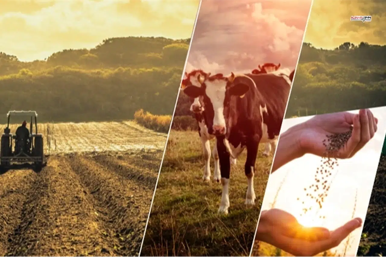 Çiftçiye 1,1 Milyar TL Destek Ödemesi