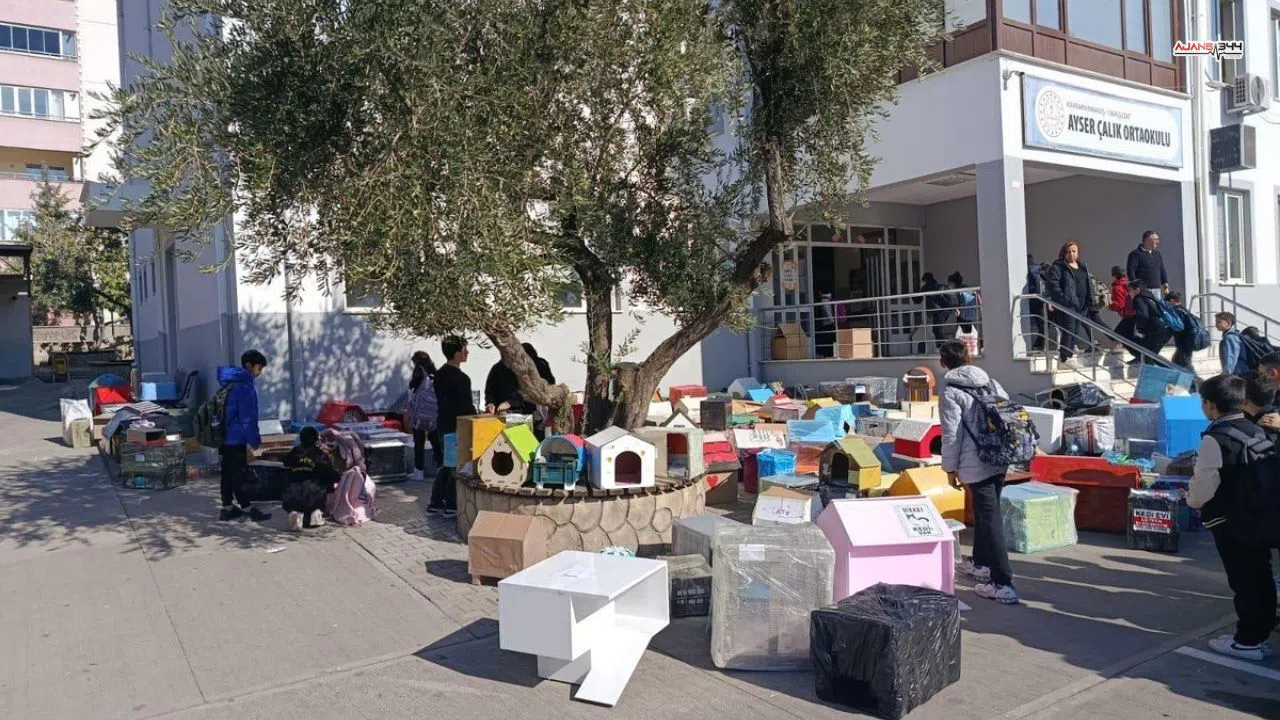 Kahramanmaraş'ta minik öğrencilerin elleriyle 500 kedi evi üretildi