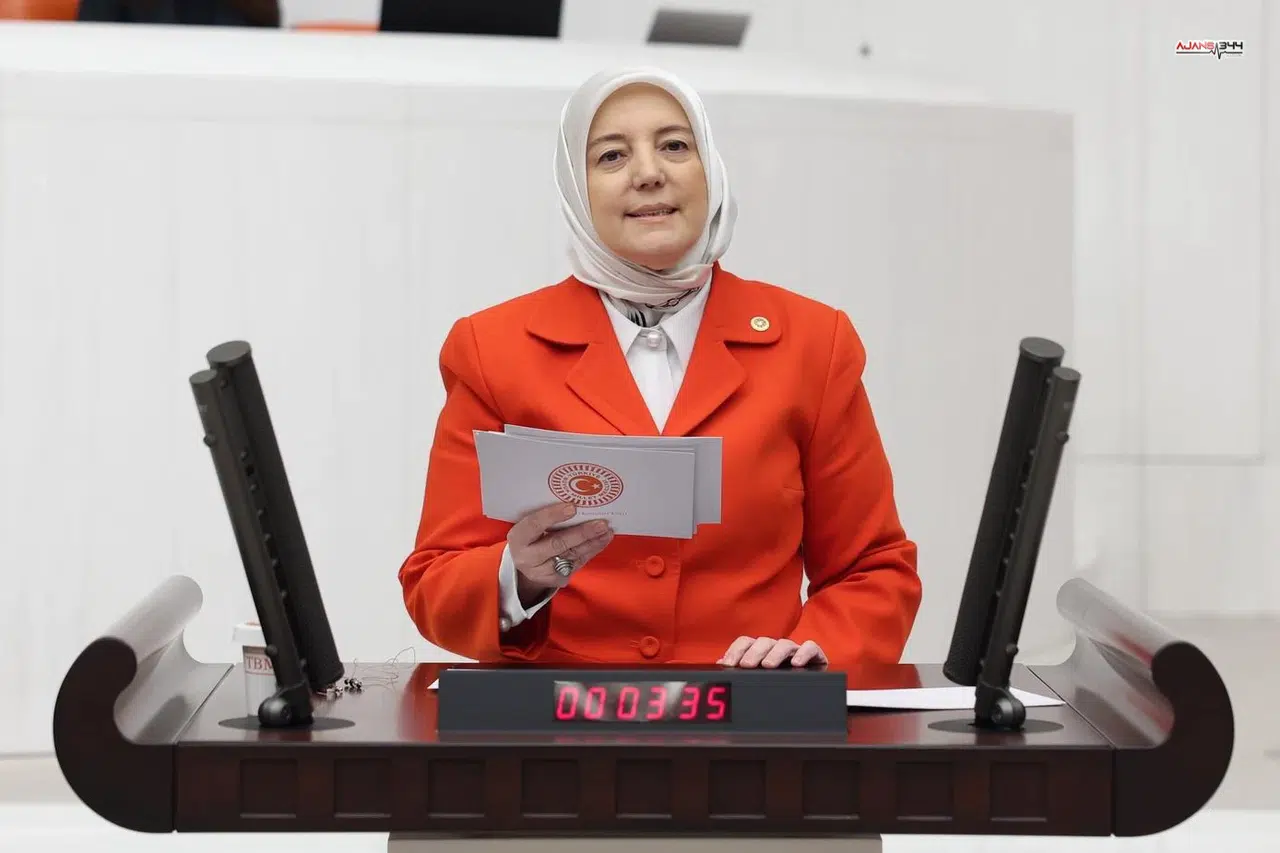 Gözgeç: Bütçe Türkiye Yüzyılı İçin