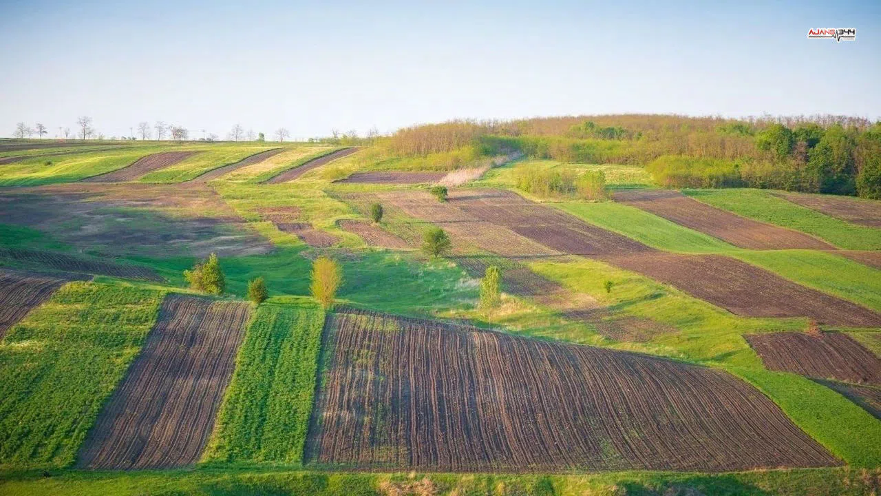 Göksun'da 1.375 m² tarla icradan satışta