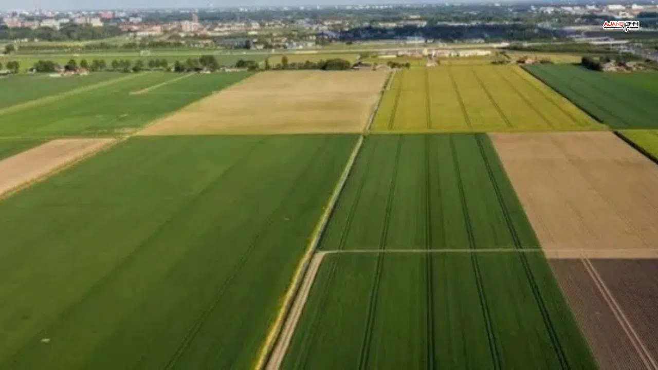 Dulkadiroğlu'nda 507 m²'lik arsa icradan satışta