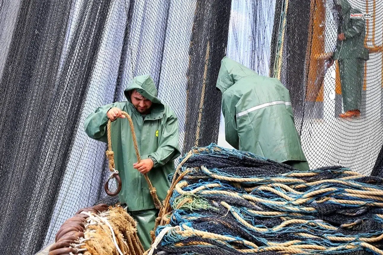 2025 Av Sezonunun İlk 3 Ayında Hamsi Liderliği Ele Aldı