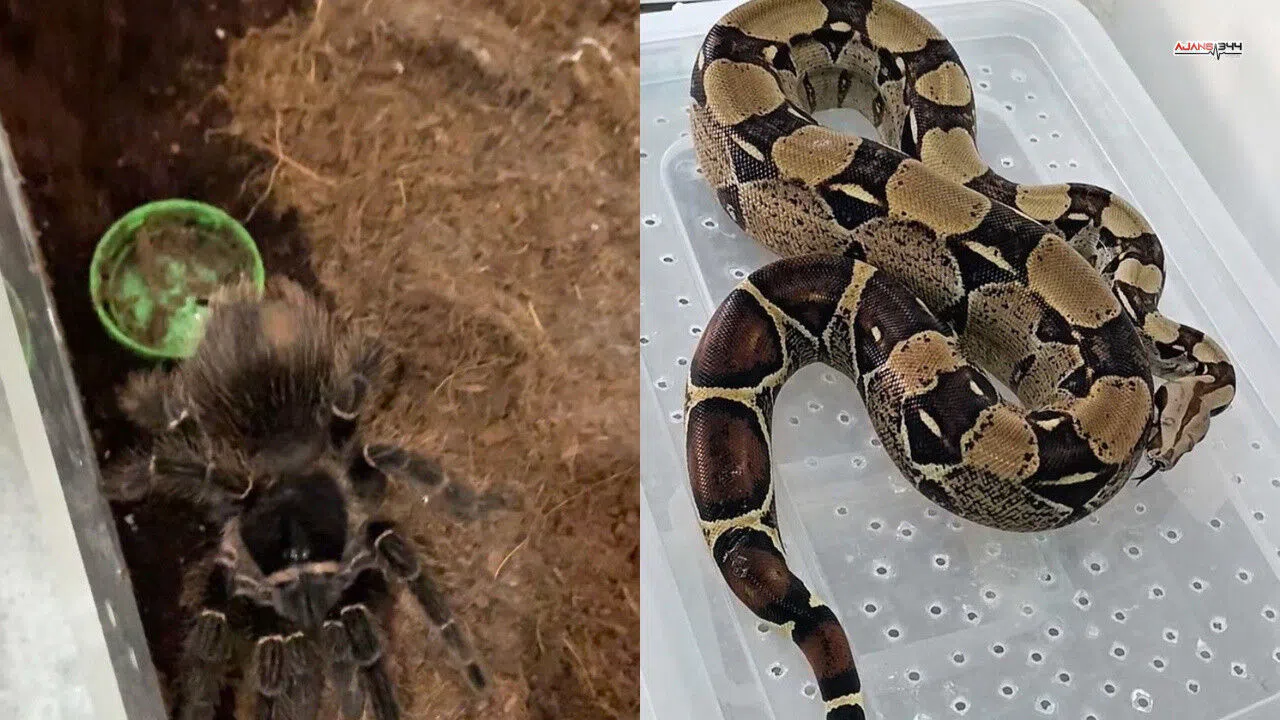 Burdur’da Eve Operasyon: Hayvanat Bahçesi Gibi!