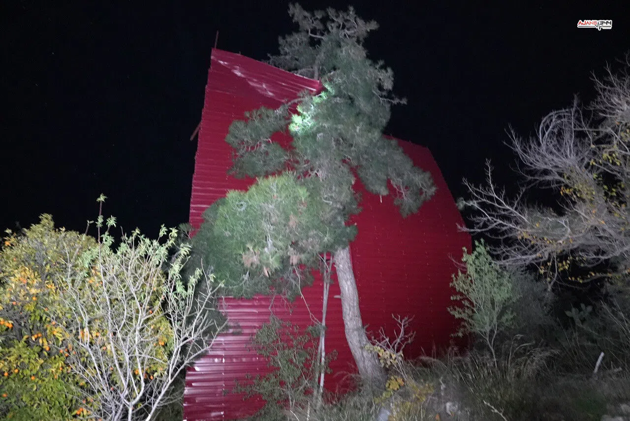 Mersin’de şiddetli rüzgar çatıyı uçurdu, asırlık meşe ağacını devirdi