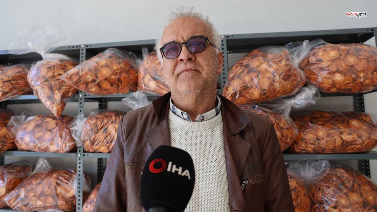 Cennet hurması kurusu artık Avrupa İhracatında