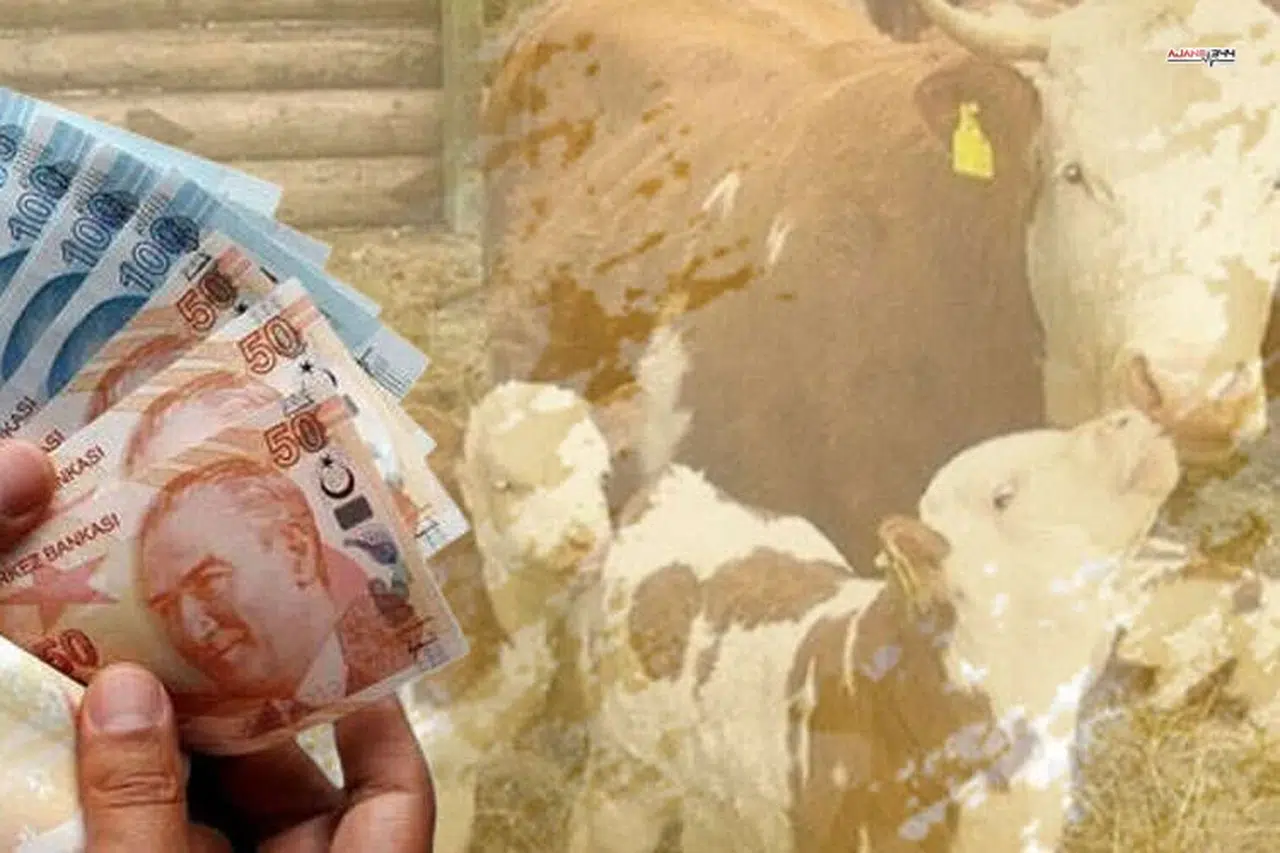 1,46 milyar TL tarımsal destek üreticilerin hesaplarına yatırıldı