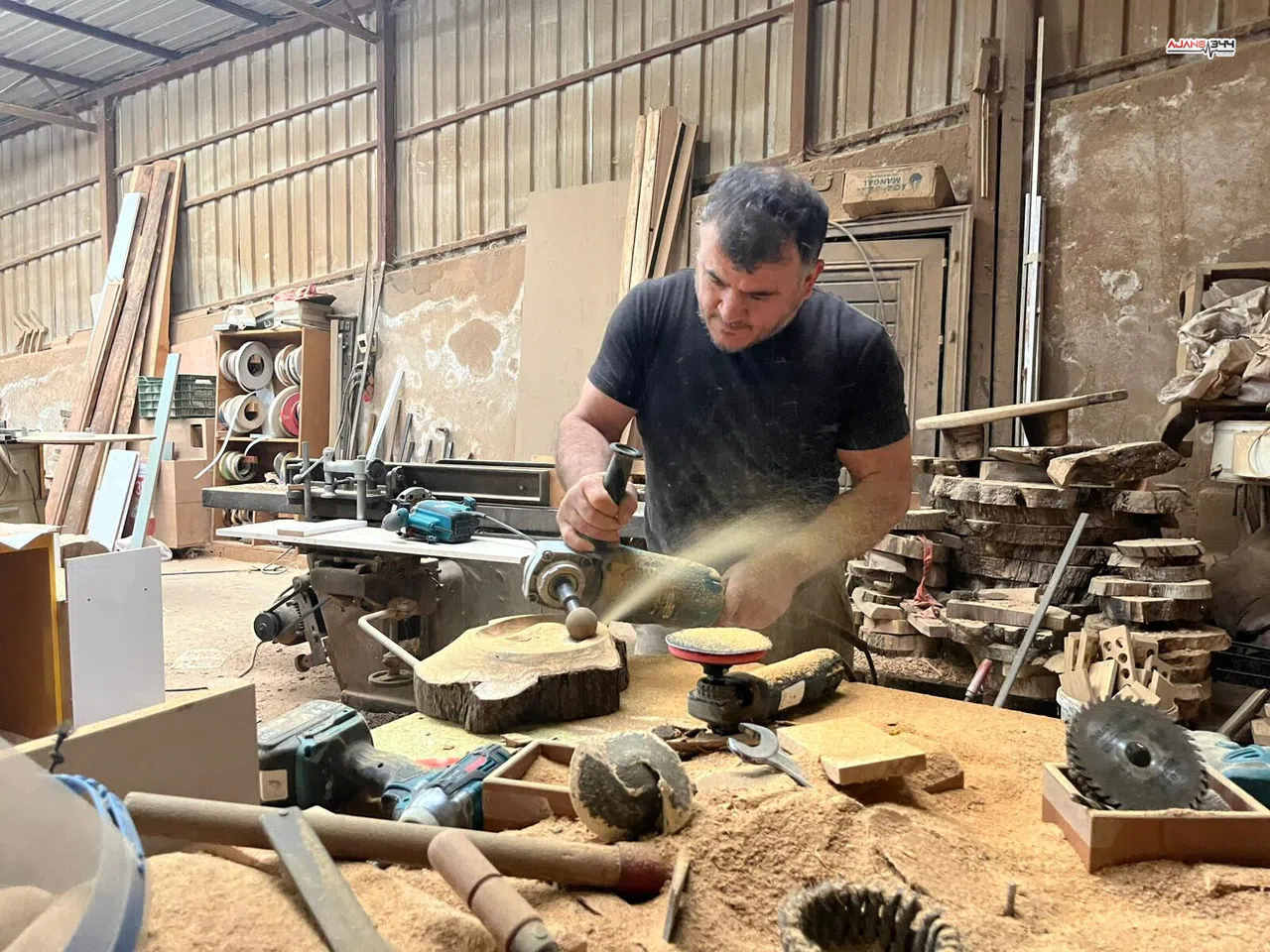 Çürük Zeytin Ağaçları Sanata Dönüşüyor