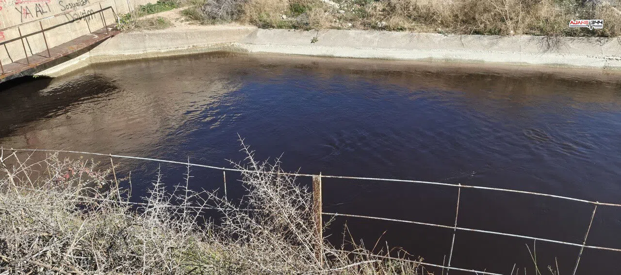 Göksu Nehri Siyah Akıyor: Zeytin Atıkları Endişe Yarattı