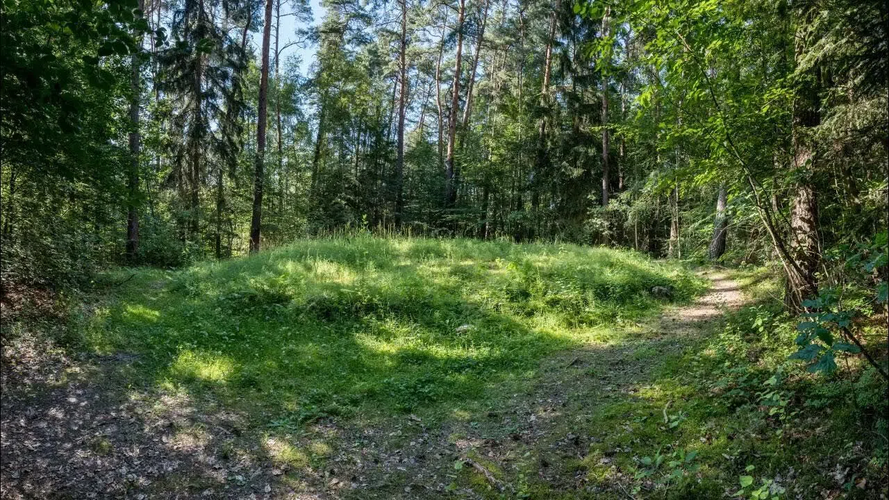 Göksun'da arazi yatırımı düşünenlere fırsat: Mahkeme 1.2 milyona satacak!