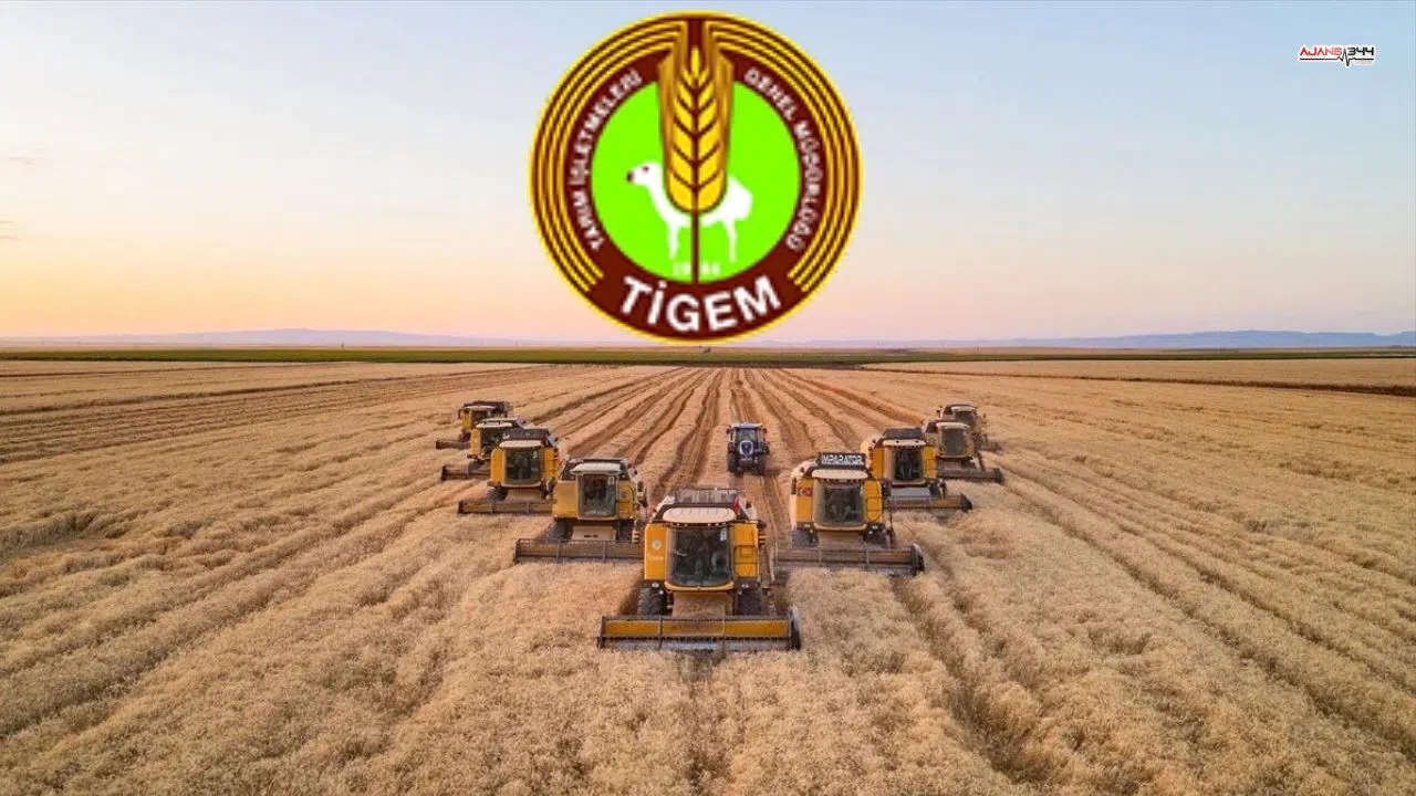 TİGEM’den 254 Sürekli İşçi Alımı