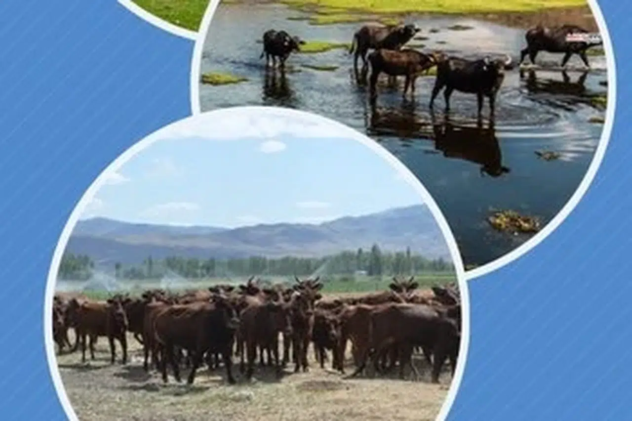 Halk elinde ıslaha 2,7 milyar TL destek verildi