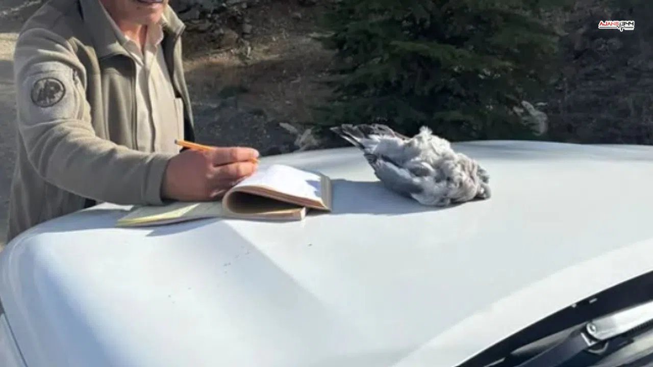 Kaçak Avcılık Yapan 4 Şahıs Doğa Koruma Ekiplerince Yakalandı