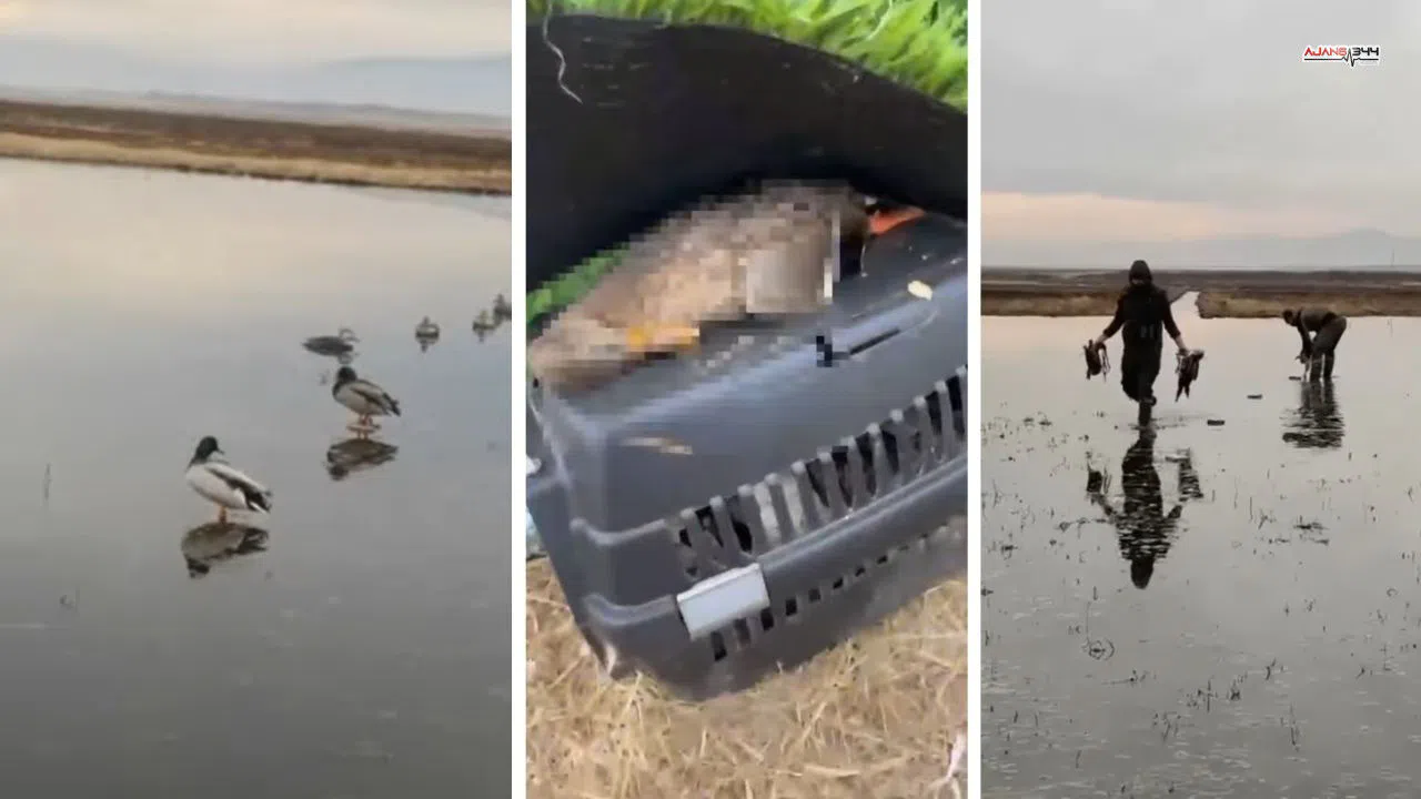 Kahramanmaraş'ta kaçak av yapan 5 kişiye ceza