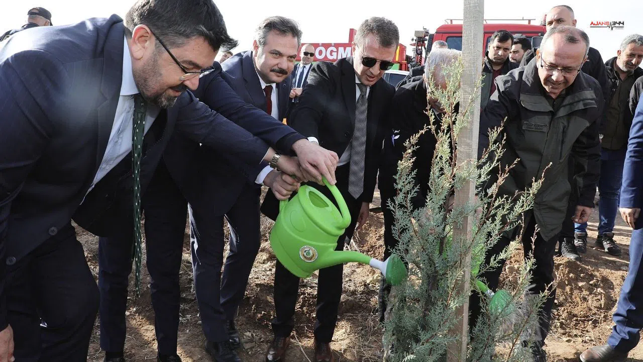 Kahramanmaraş'ta 30 Bin Fıstık Çamı Fidanı Toprakla Buluştu