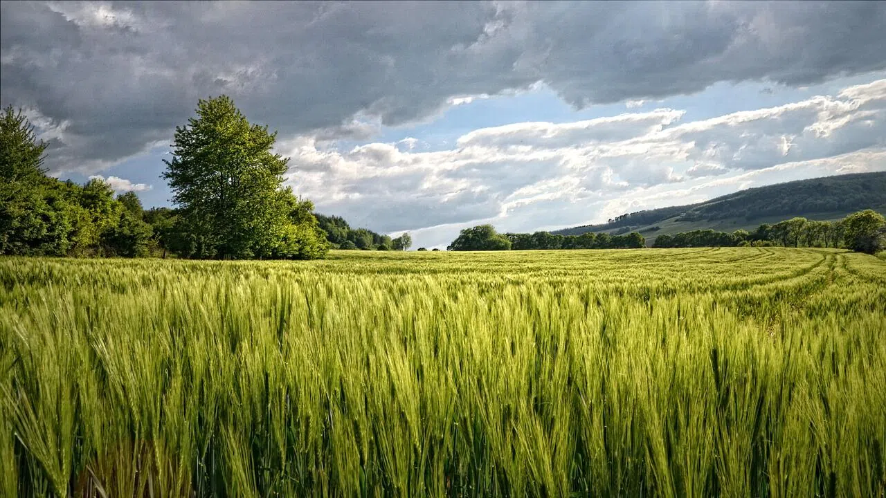 Kahramanmaraş'ta 36 dönüm araziye istenen fiyat şoke etti!