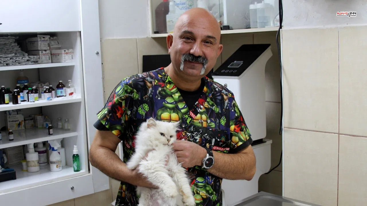 Sokakta bulunan kedinin muayenesinde tıp dünyasını şaşırtan bulgu