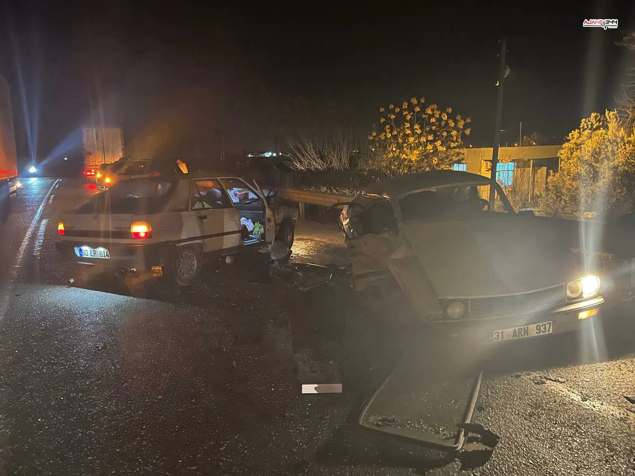 Köpekten Kaçan Kedi, 3 Gün Boyunca Ağaçta Mahsur Kaldı