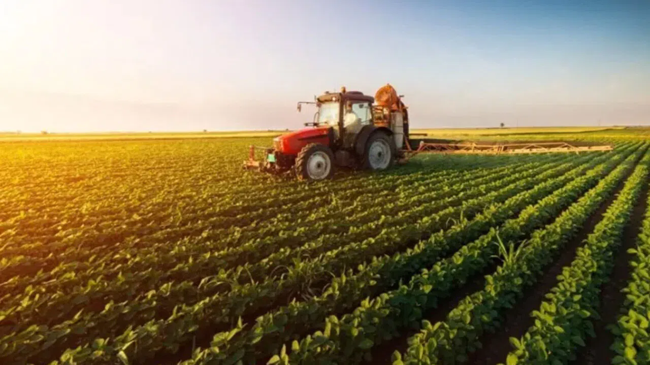 Köyde bir dönüm toprağı olanlar dikkat: Tapu şartı kalktı, o belgeyi veren parayı alacak