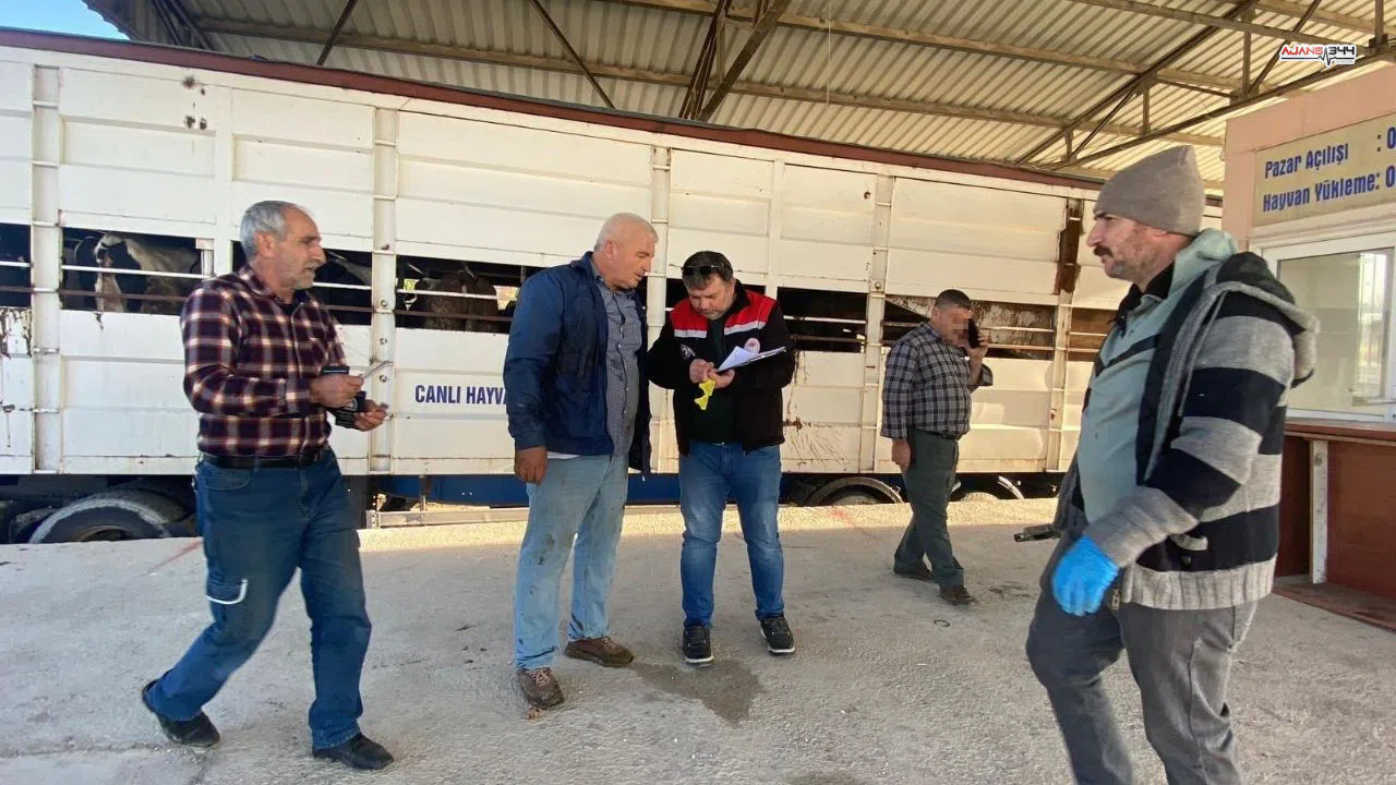 Besici Küpesiz Hayvan Taşıdı 170 Bin TL Ceza Yedi