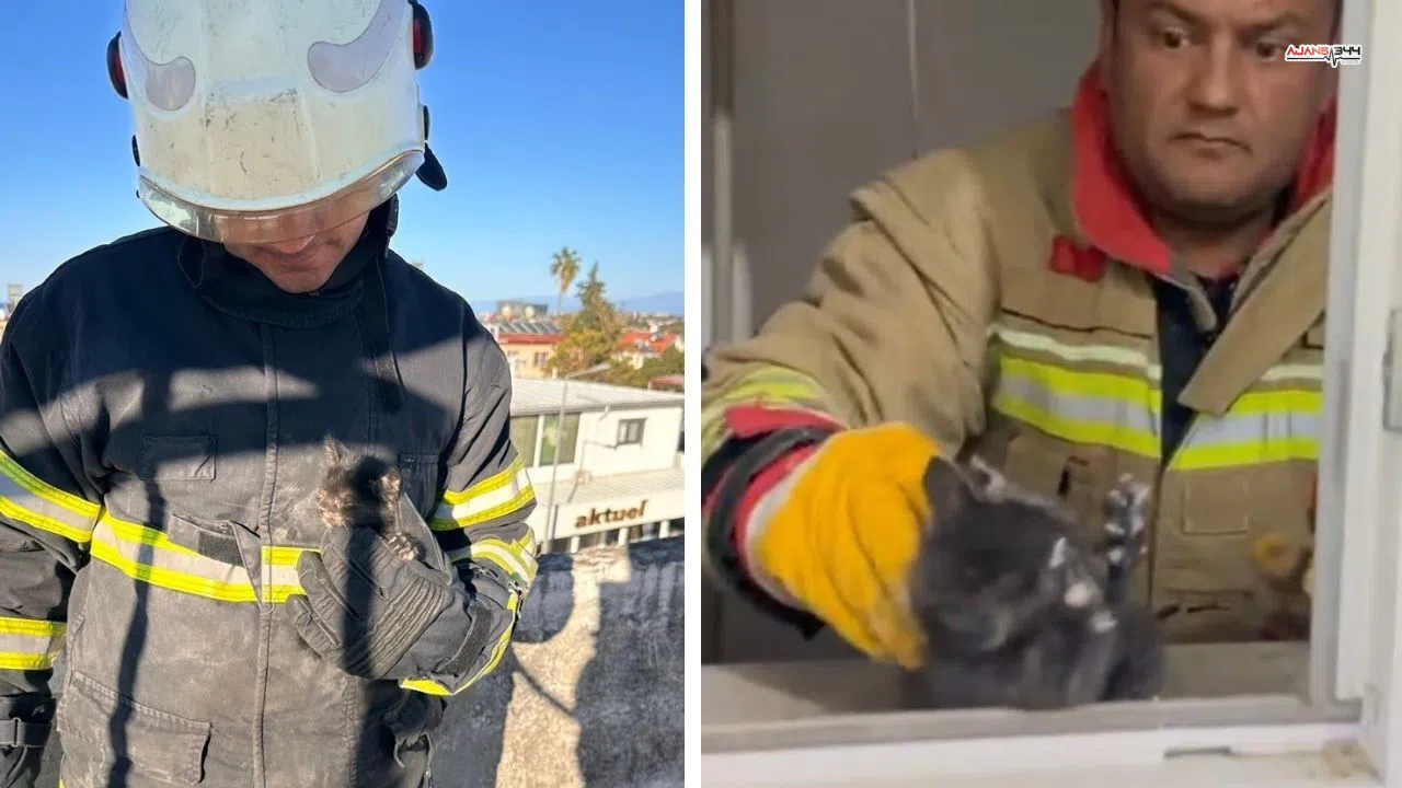 Havalandırmada mahsur kalan yavru kedi itfaiyenin operasyonuyla sahibine kavuştu