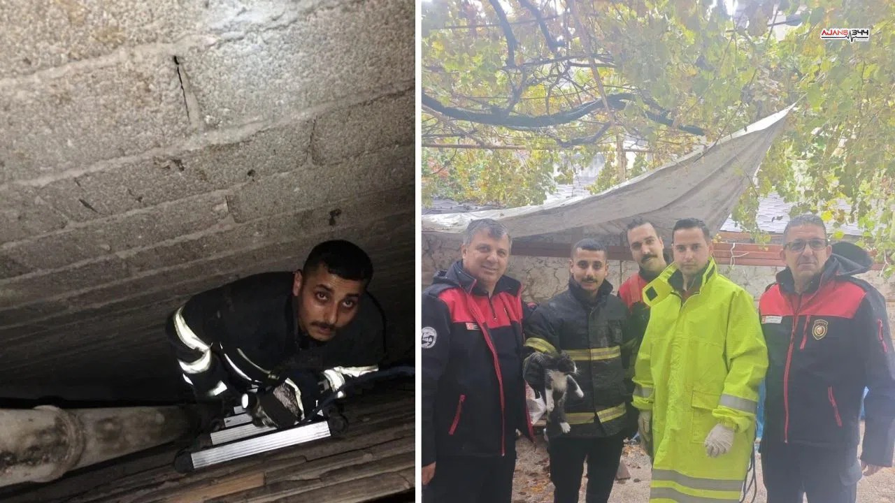 Havalandırma Boşluğuna Düşen Yavru Kedi İtfaiyeyle Kurtarıldı