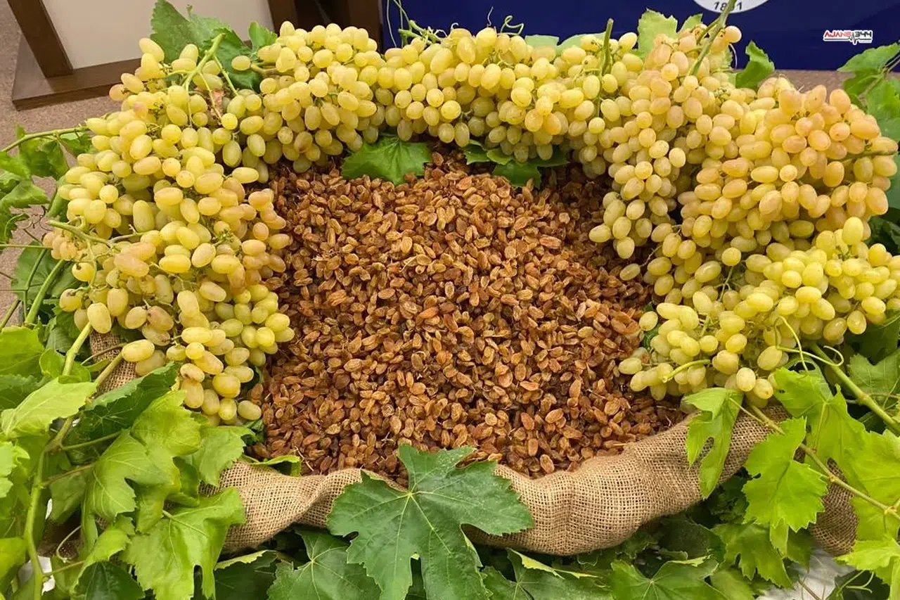 Kuru Meyvede 2025 İhracatı 1,7 Milyar Dolar