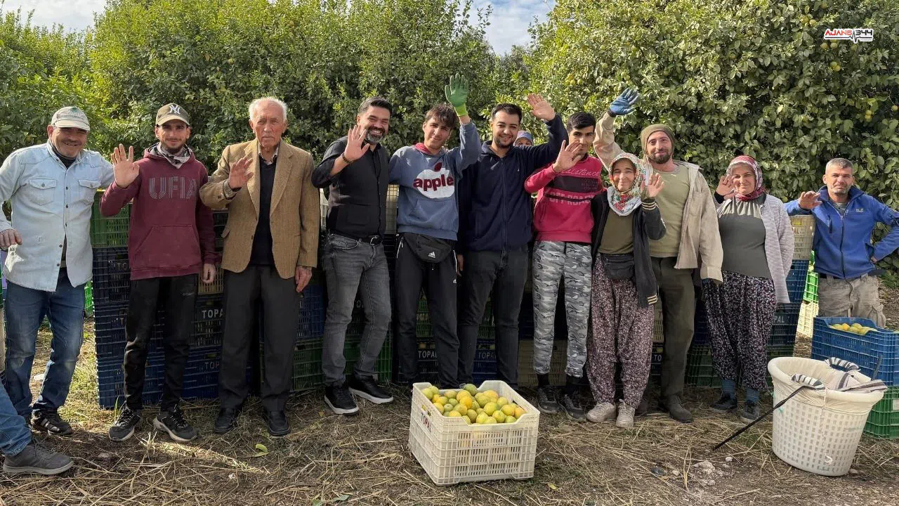 Limonun Başkenti Erdemli'de Depoluk Hasat Dönemi Başladı