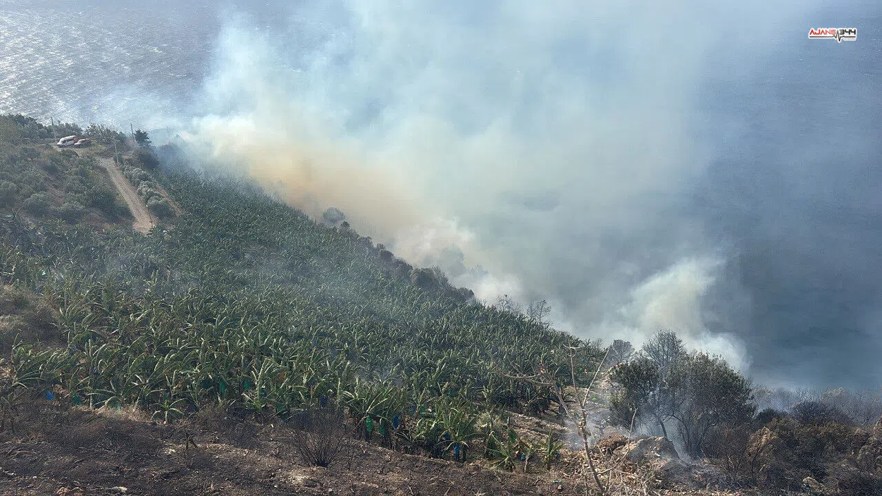 Muz Bahçesinde Yangın Paniği!