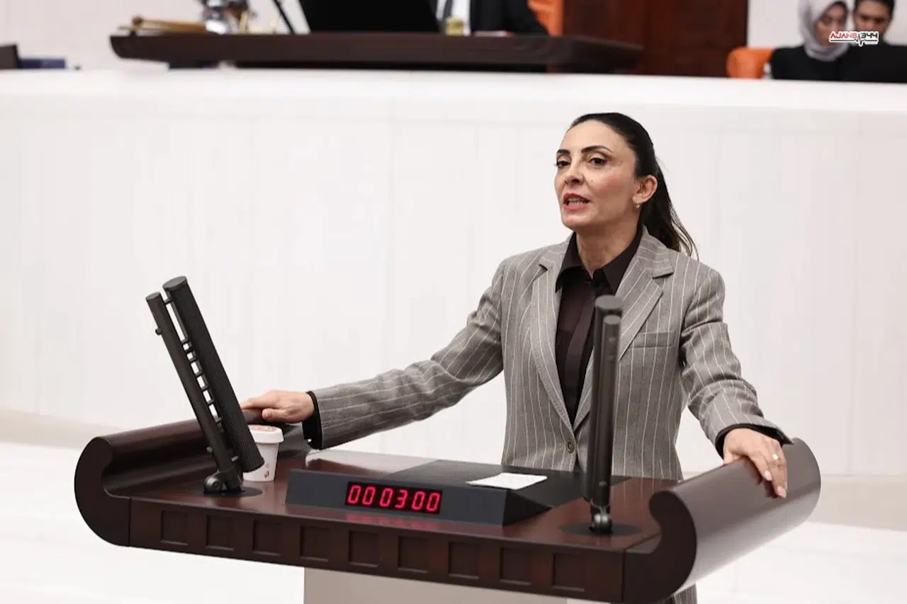Nurhayat Altaca Kayışoğlu: “Özgür Sanat Olmadan Demokrasi Olmaz”