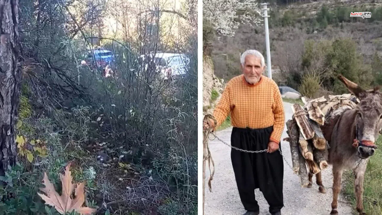 Kayıp 93 yaşındaki adamın cansız bedeni ormanlıkta bulundu