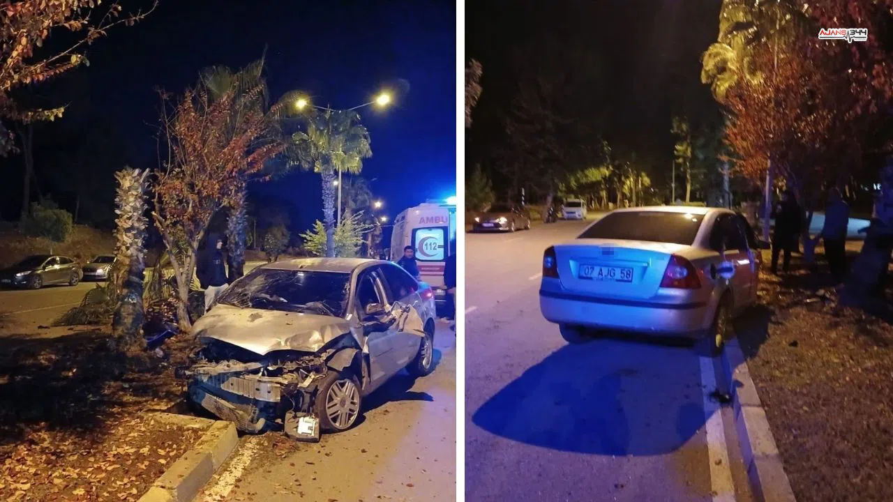 Palmiye Ağacına Çarpan Otomobilin Sürücüsü Hastanelik Oldu