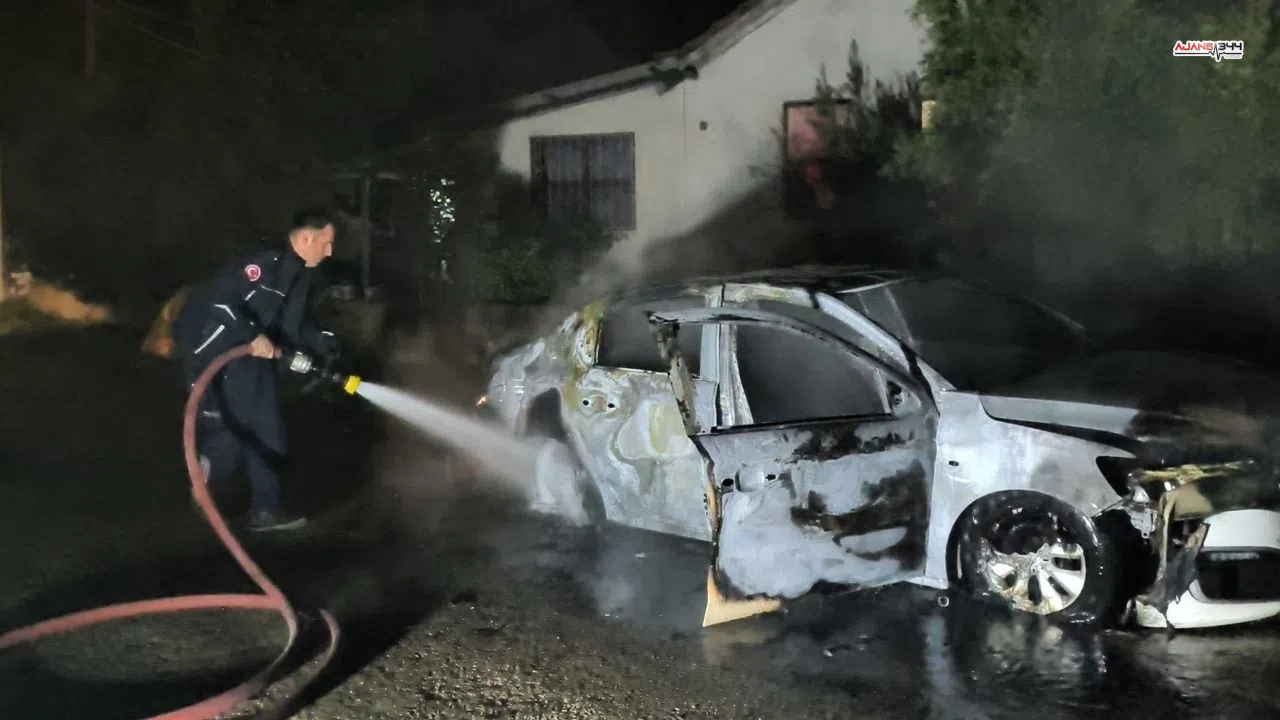 Park Halindeyken Alev Alan Araç Küle Döndü