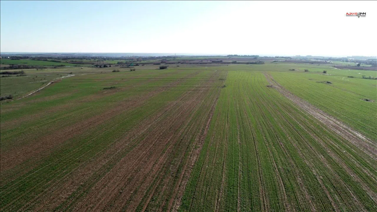 Kahramanmaraş'ta 36 Dönümlük Tarla İcradan Satışta