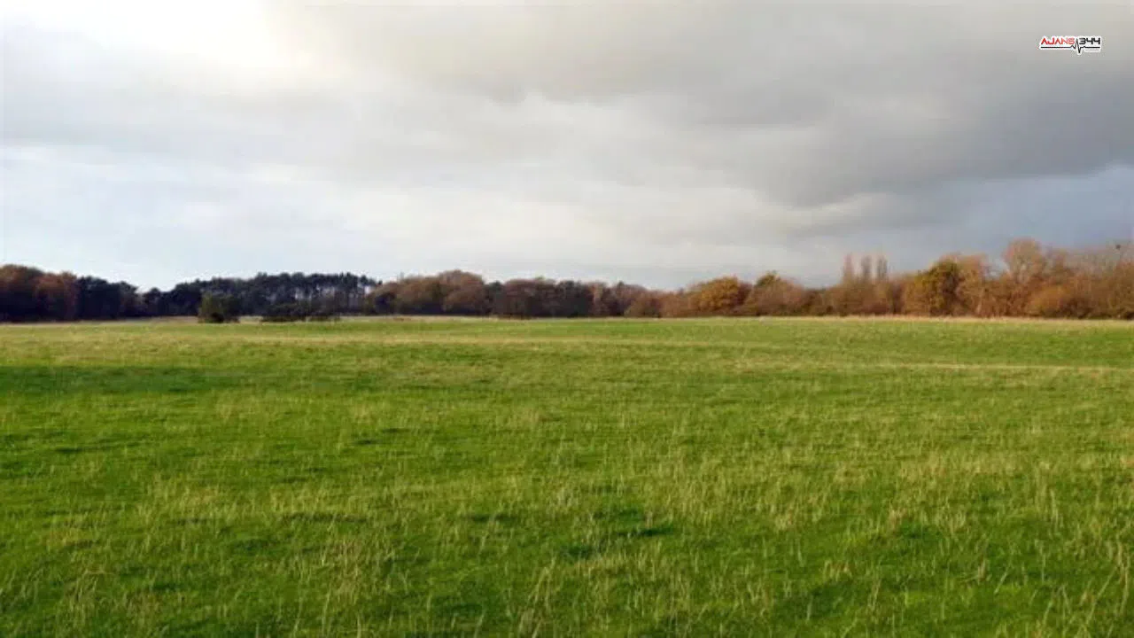 Kahramanmaraş'ta icradan satılık iki büyük arsa